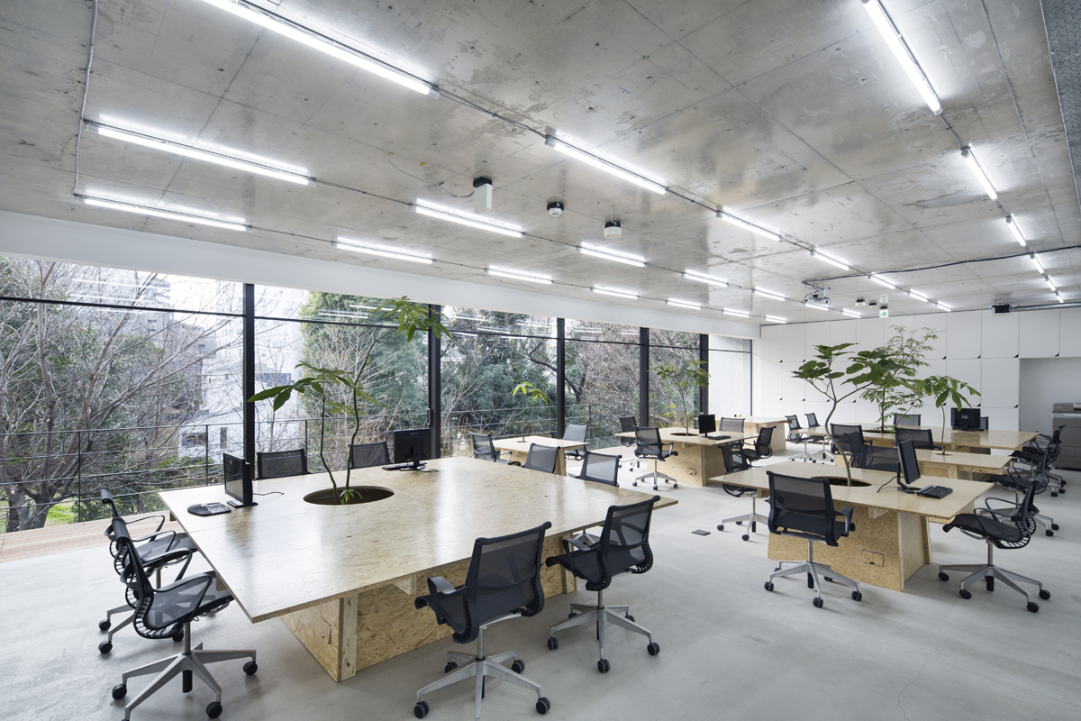 remonti,office,disaini,designs,sruliremonti,kremonti,სრული რემონტი,ოფისის რემონტი, ოფისის დიზაინი.